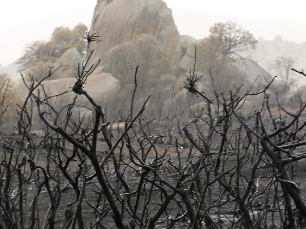 June 20, 2013 rain on burned chaparral